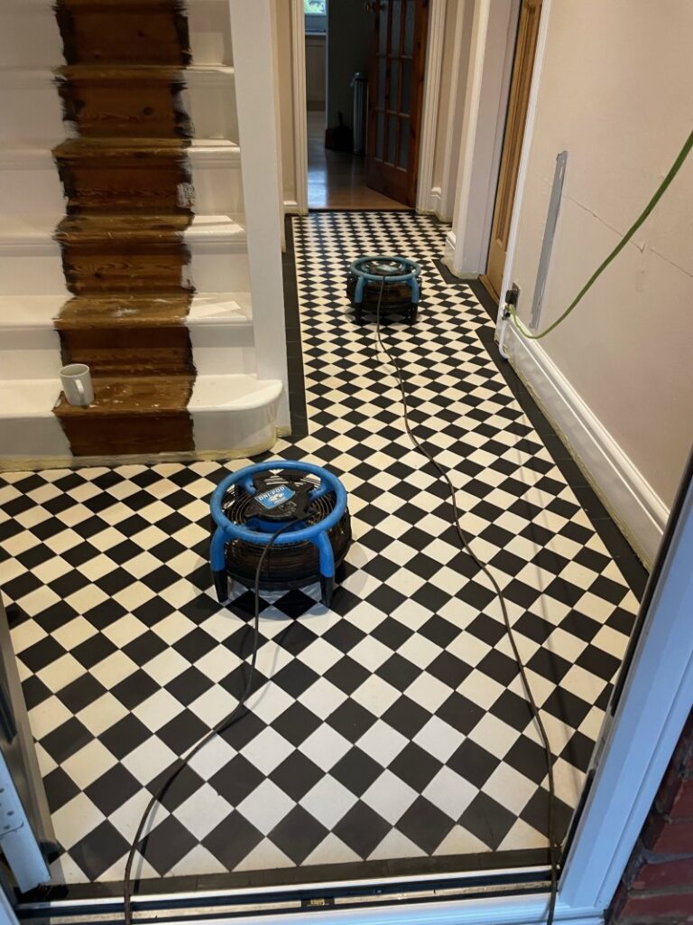 Edwardian Tiled Diamond Pattern Floor During Drying Rugby